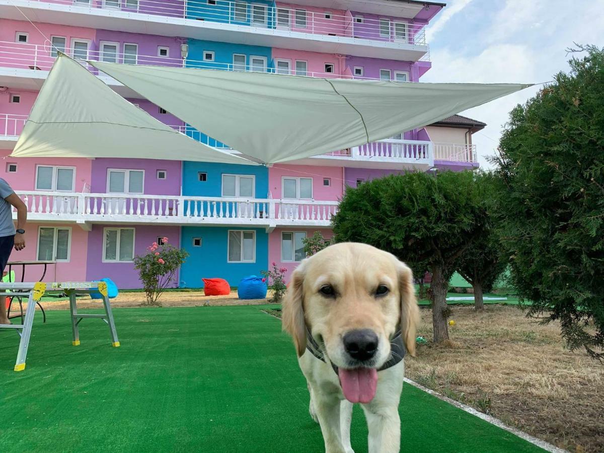 Casa Barbie Costinesti Hostel Kültér fotó